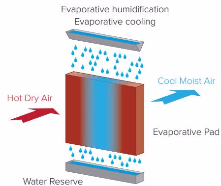 Armstrong EvaPack™ 湿膜等焓加湿器 Armstrong EvaPack™ adiabatic process into psychrometric chart