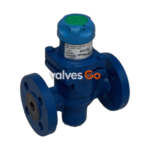 BRV2S and BRV2B Ductile Iron Direct Acting Pressure Reducing Valve