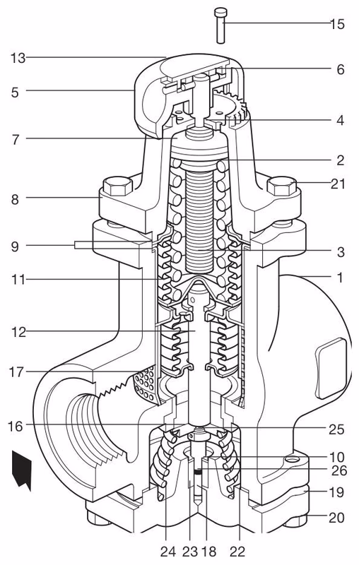 Spirax Sarco BRV71/BRV73 Ductile Iron Direct Acting Pressure Reducing Valve - Structure Diagram