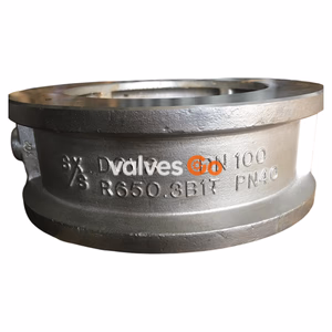 Spirax Sarco DCV8 Disc Check Valve