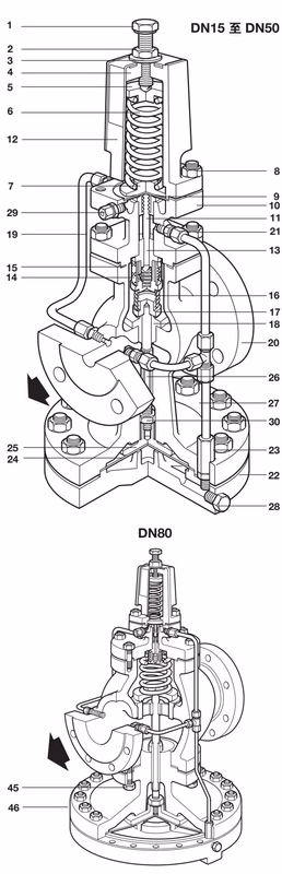 斯派莎克 Spirax Sarco DP143 结构标注图