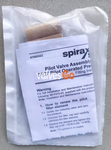Spirax Sarco DP27 pilot filter element and cap gasket - back view