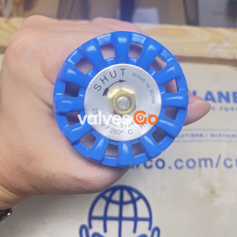 Spirax Sarco HV3 Bronze Globe Valve - DN20 Top
