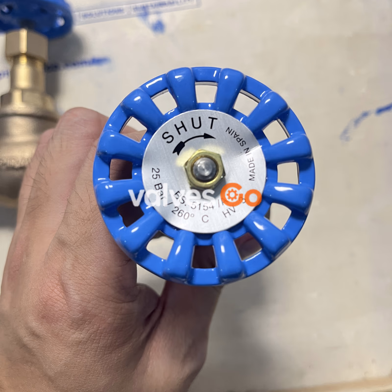 Spirax Sarco HV3 Bronze Globe Valve - Top