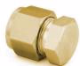 Swagelok B-100-C brass tube cap fitting
