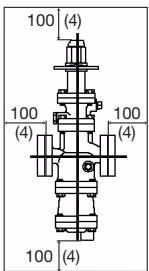 TLV COS-21 steam pressure reducing valve clearance for maintenance