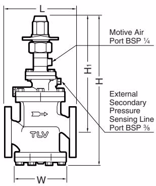 TLV PN-COSR-16 dimensions DN 40-50