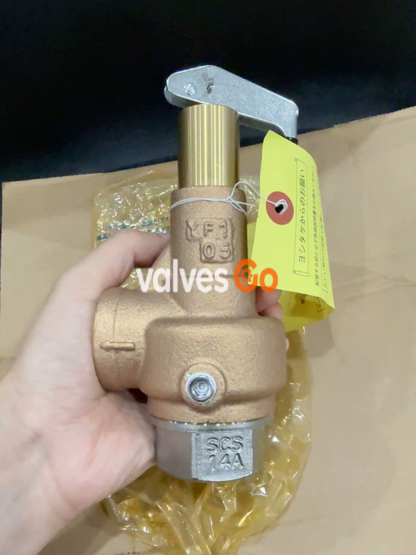 Yoshitake AL-150L Safety Relief Valve Back