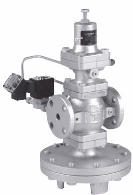 Yoshitake CP-2002 Flanged type exterior