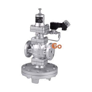 Yoshitake CP-2002 Combination Valve for Steam