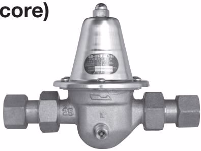 Yoshitake GD-25GJ-K product appearance