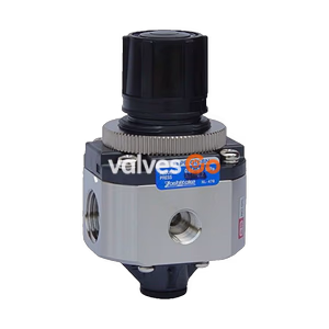 Yoshitake GD-8N Pressure Reducing Valve, Stainless Steel (SUS316)